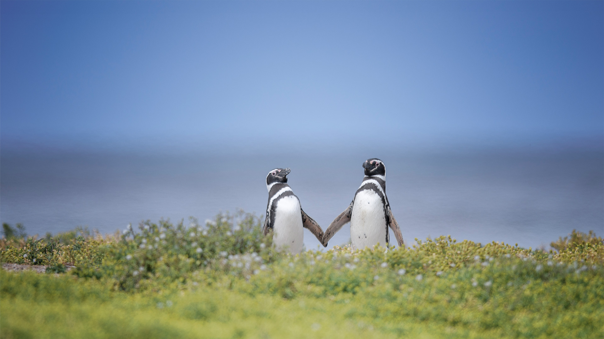 跨境科普｜BVI公司转入年审所需文件清单