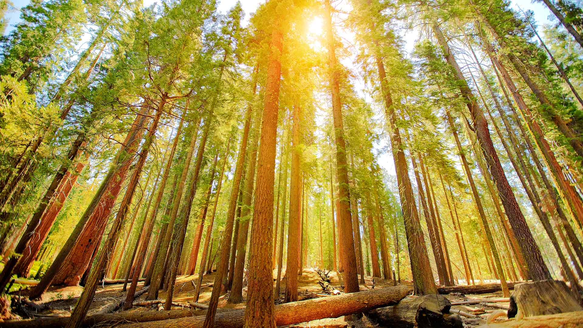 美元基金设立新战场：Preqin数据揭示的GP生存法则与开曼公司设立的隐秘逻辑