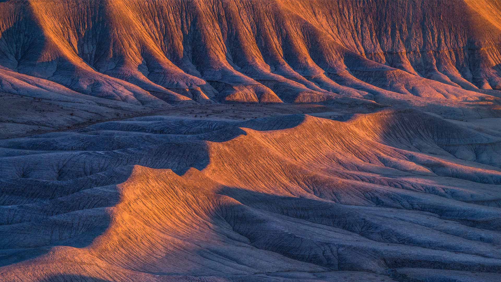 境外科普|开曼SPC基金：量化基金的宠儿